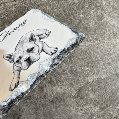 Custom Stone Pet Coaster | Personalized Stone Drink Coaster 🐾