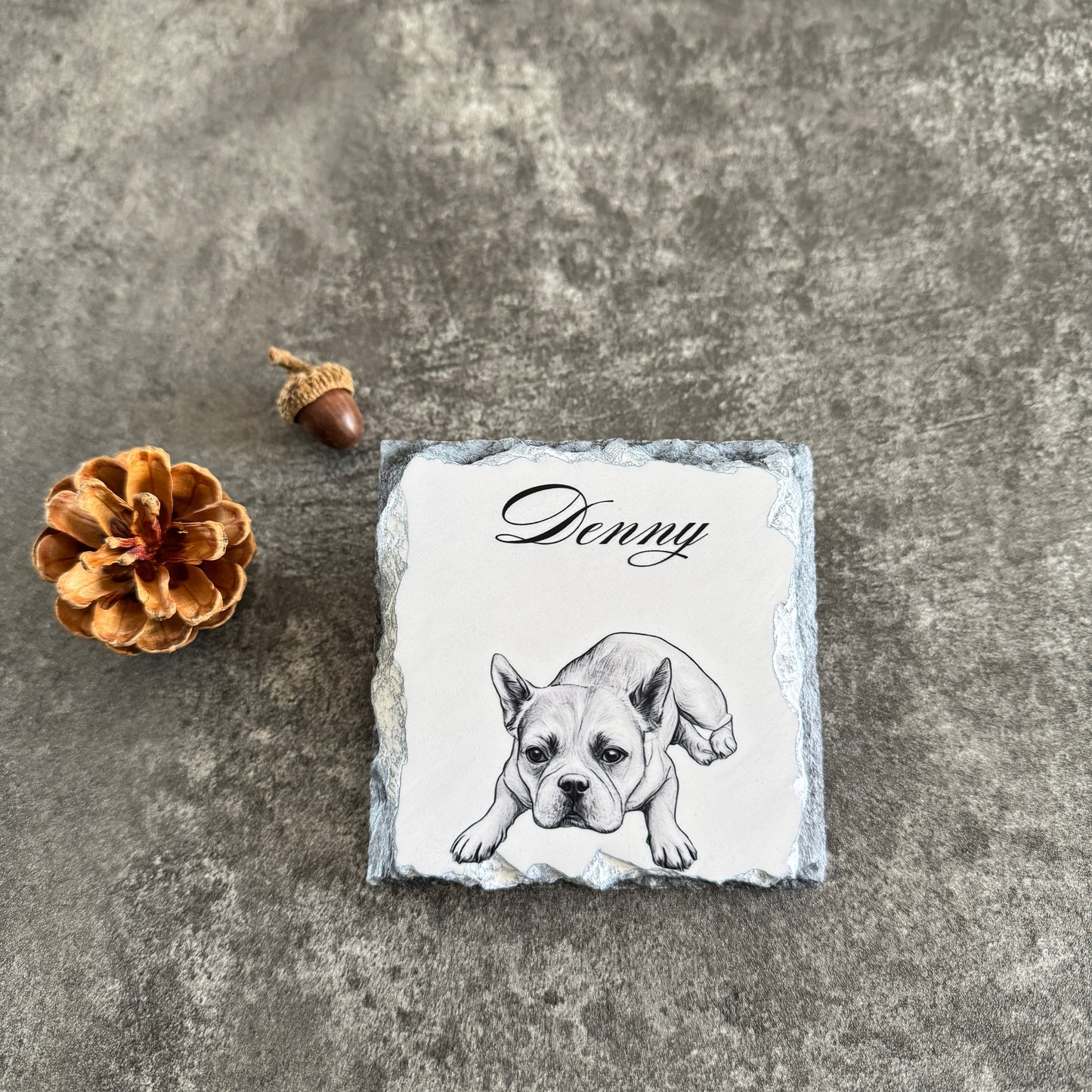 Custom Stone Pet Coaster | Personalized Stone Drink Coaster 🐾