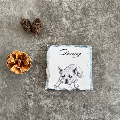 Custom Stone Pet Coaster | Personalized Stone Drink Coaster 🐾