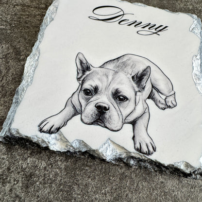 Custom Stone Pet Coaster | Personalized Stone Drink Coaster 🐾