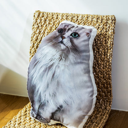 Custom Pet Pillow with Your Pet’s Photo🐾