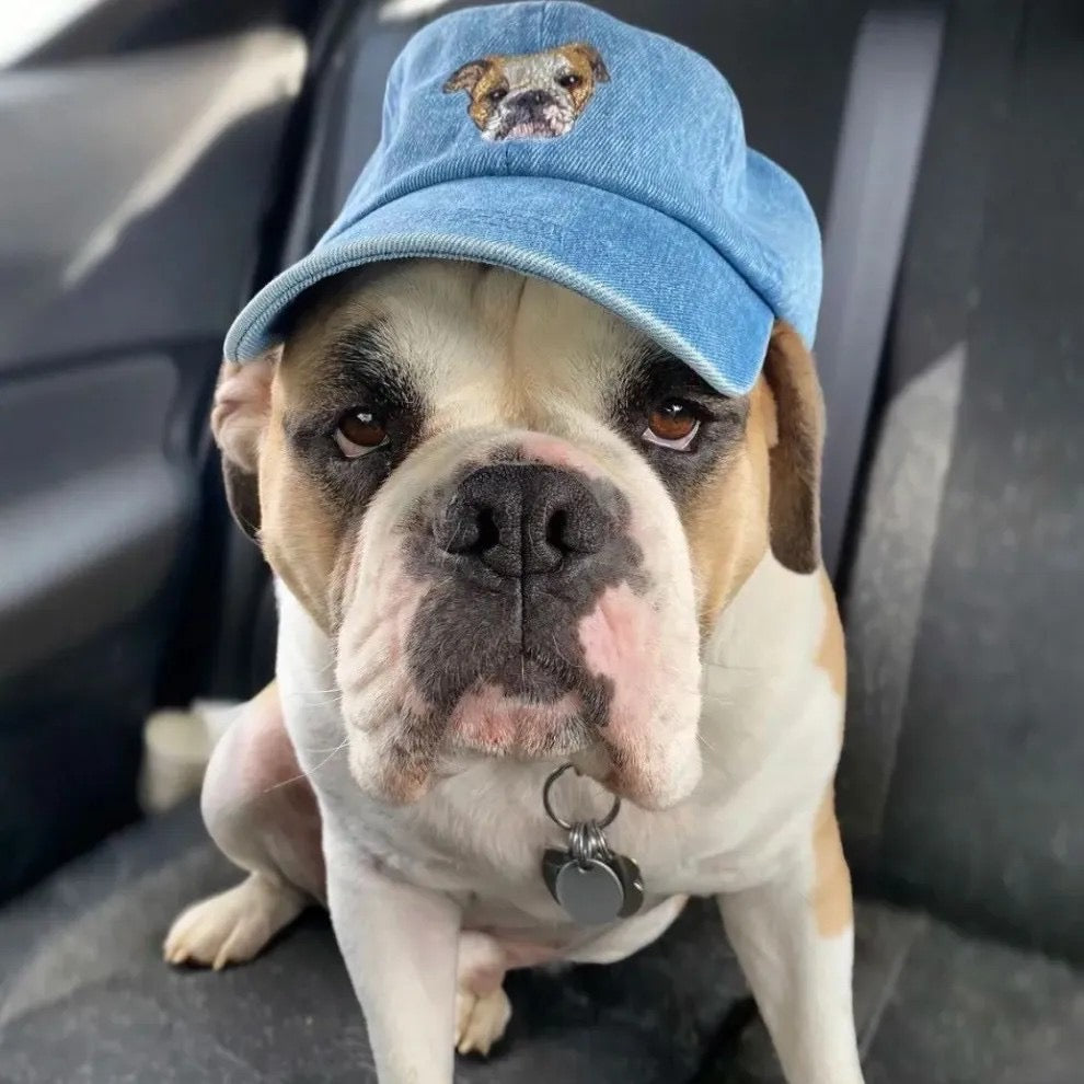 Personalized Pet Embroidered Cap | Custom Pet Baseball Cap 🐾