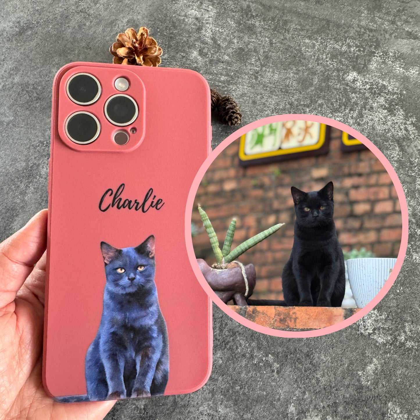 Phone Case with Your Pet’s Photo & Name🐾Op