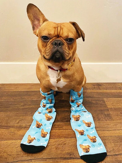 Personalized Pet Photo Socks