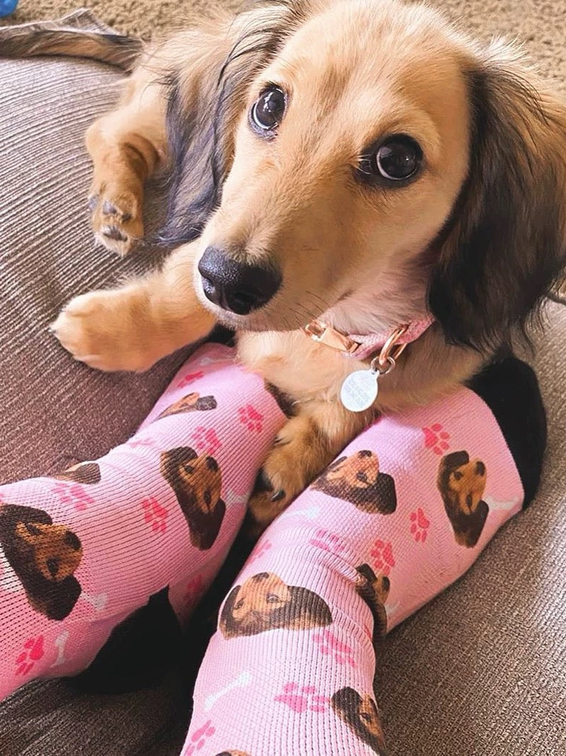 Personalized Pet Photo Socks